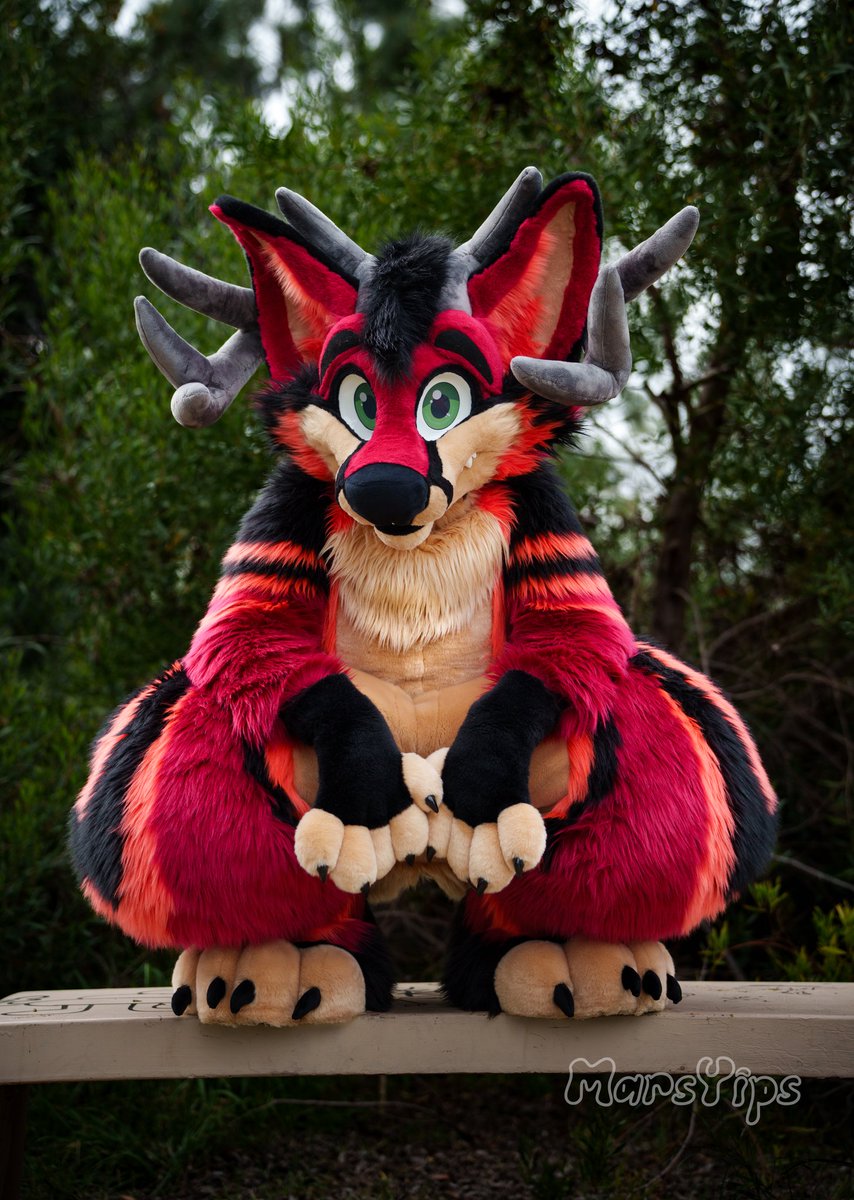 Scaddams tweet media