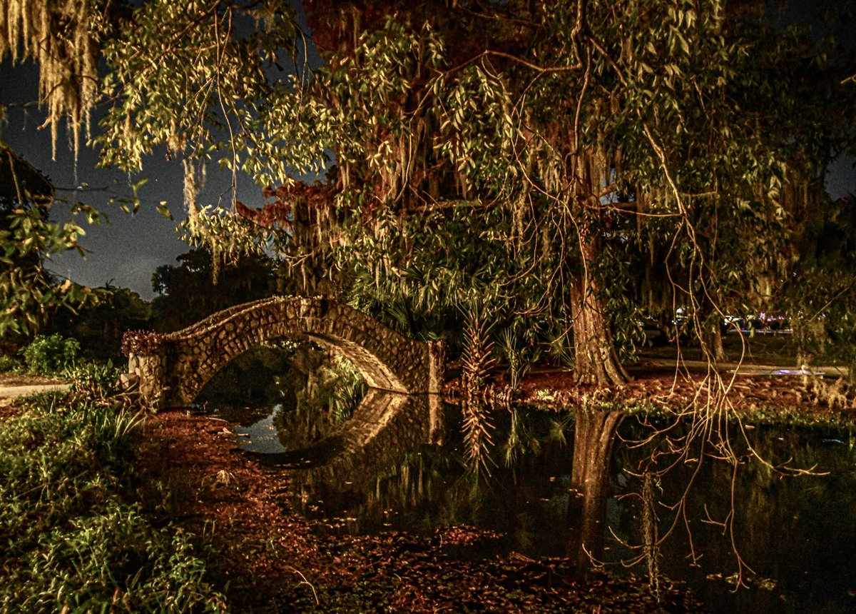 Night at City Park, New Orleans
