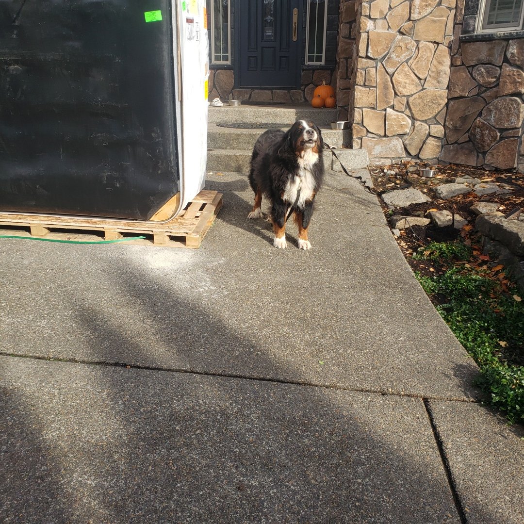 portland_movers's tweet image. Hot Tub Movers Washougal Washington.  503-953-6537.  
PortlandMoversReady.Com/hot-tub-movers.  #HotTub #Movers #Washougal #Washington #Moving