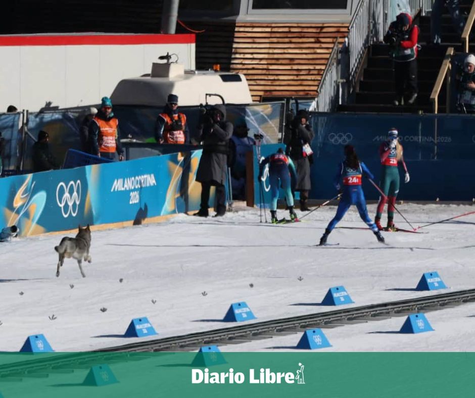DiarioLibre's tweet photo. |#DeportesDL| Un perro irrumpió en la pista durante la clasificación de relevo sprint femenino en @olympics Milano Cortina 2026; apareció al cierre de CRO y AUS y no afectó la prueba.
🔗https://t.co/Pi6CnZUE2I
#MilanoCortina2026 #EsquiDeFondo #JuegosOlímpicos #Viral https://t.co/YVwoHea7FG