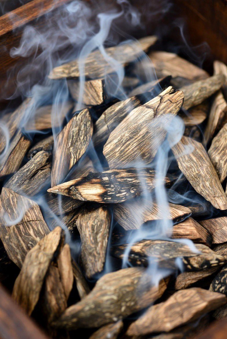 Lew 𝕏 tweet media