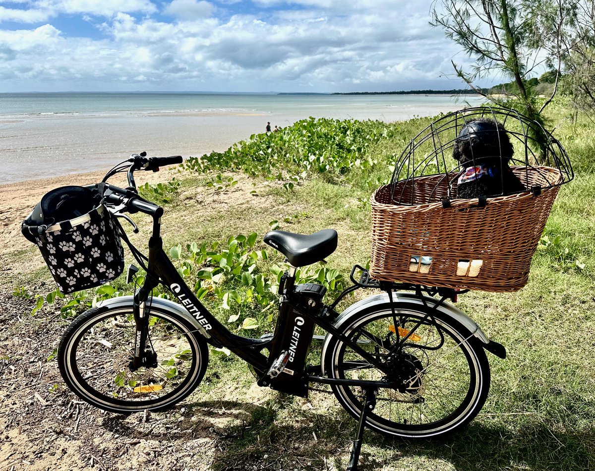 Leitner eBikes tweet media