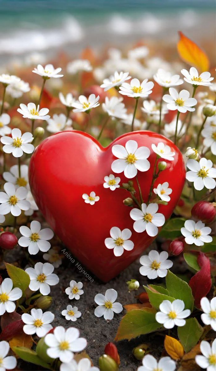 "Bir güzel kalp,❤
bin güzel yüzden daha iyidir..."
                      Shakespeare