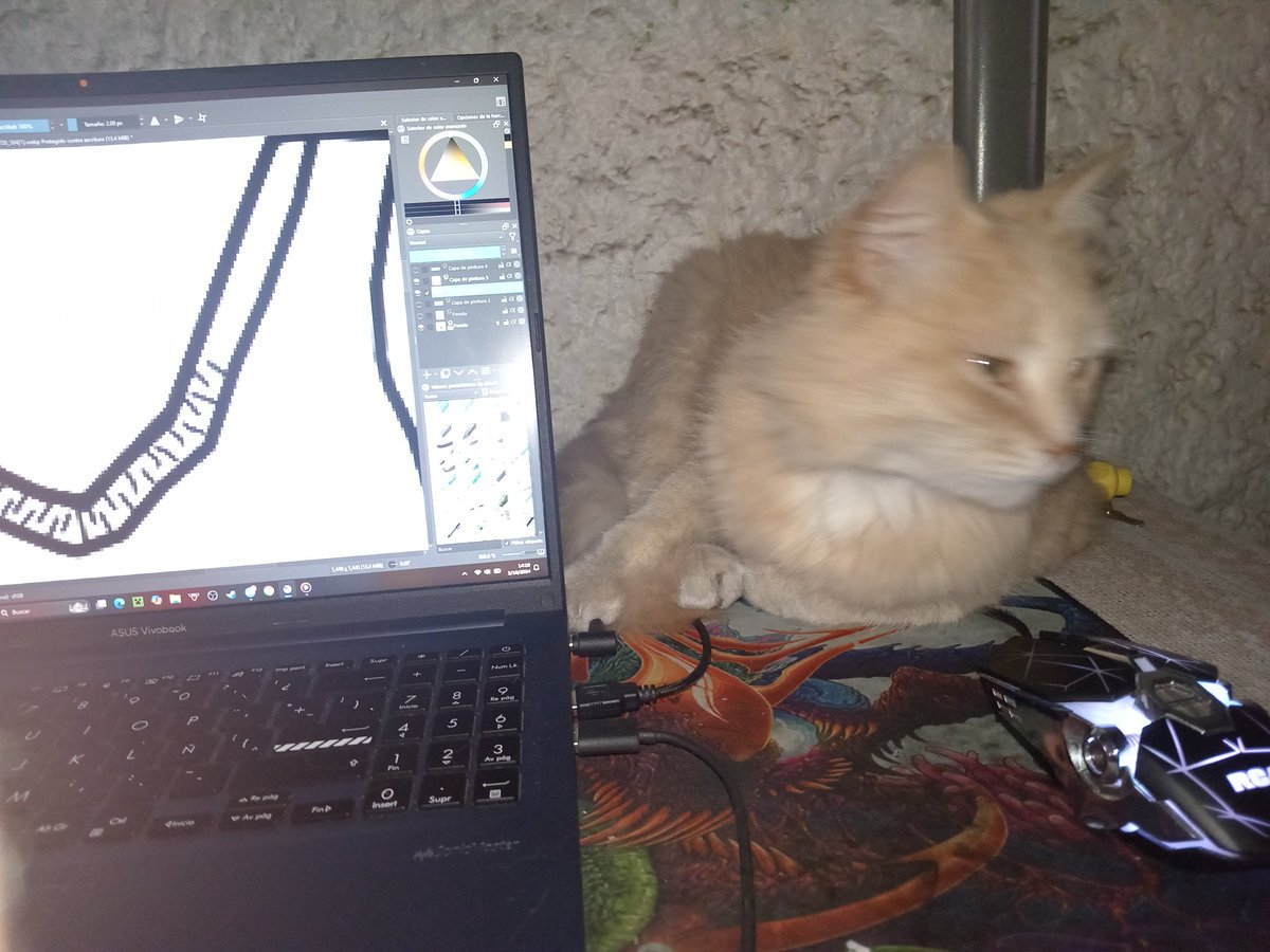 kurisu_2004|Vnex| 💙🍲⛩️(hiatus) tweet media