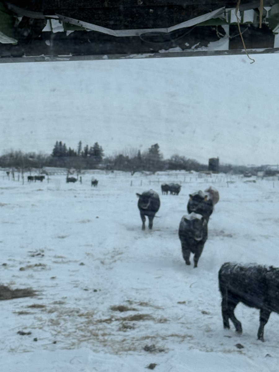 Sean McGrath tweet media