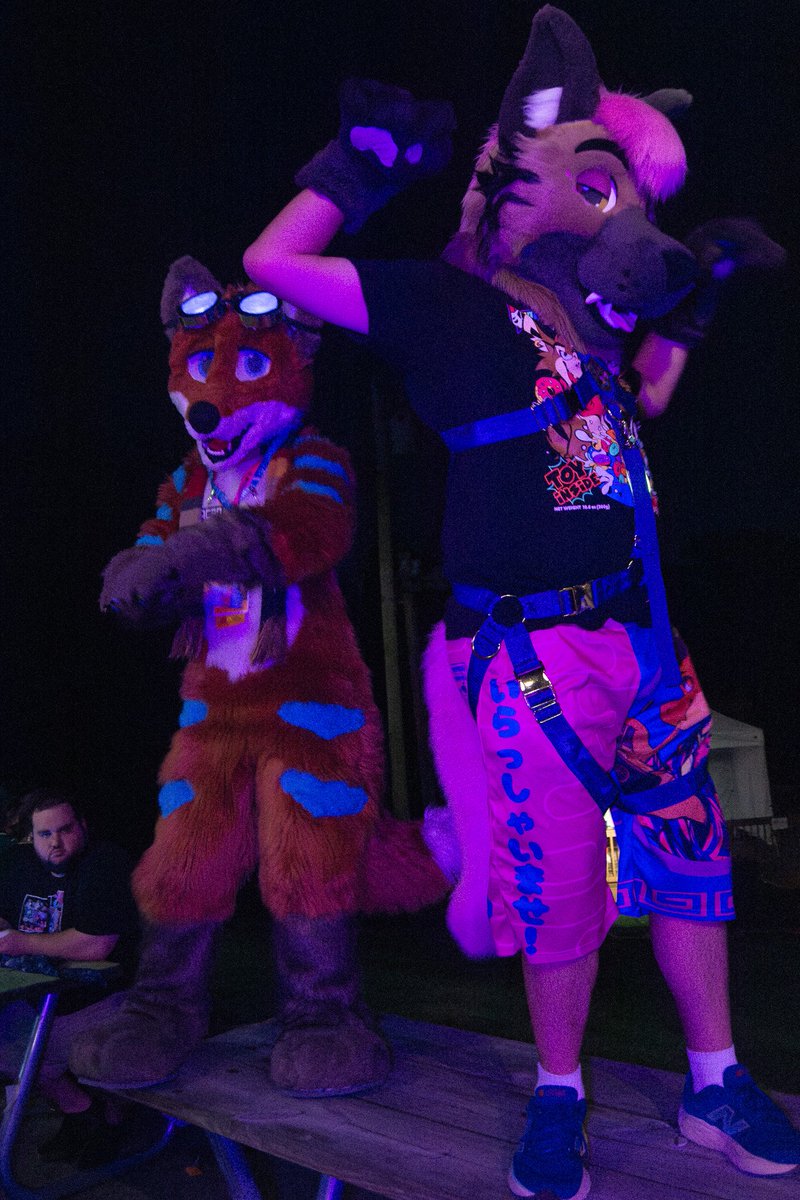 Jax Hyena / Glacier Husky 🔜 FE, AC tweet media