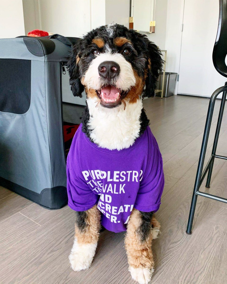 PanCAN Boston tweet media