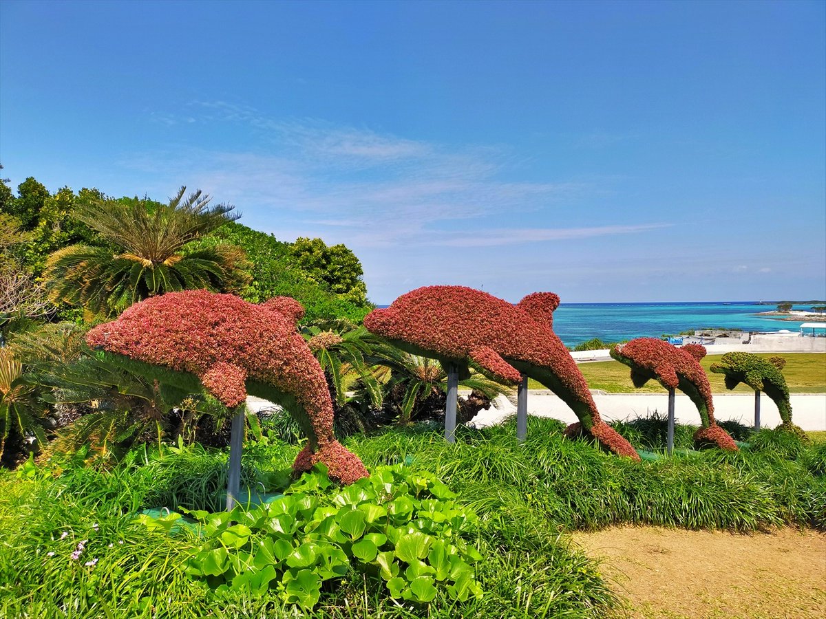 旅先での写真 tweet media