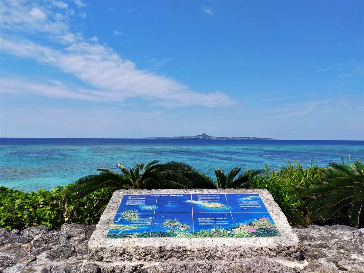 旅先での写真 tweet media