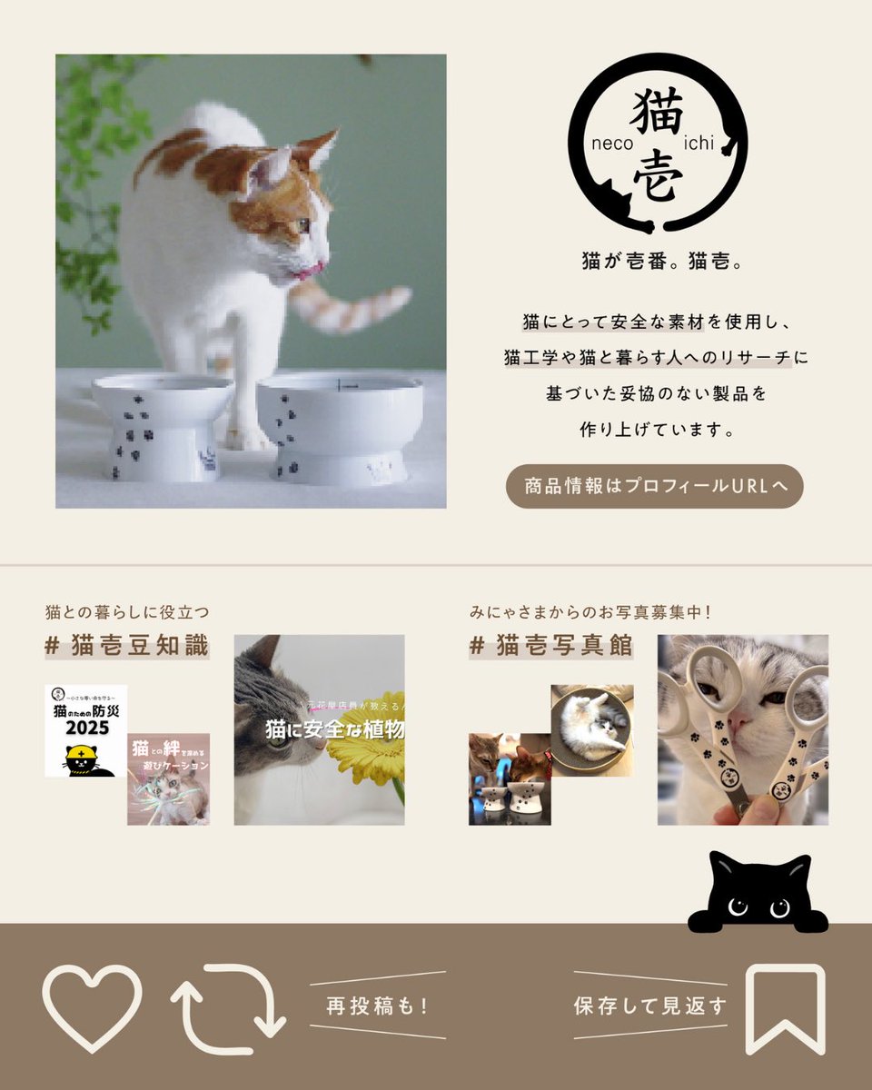 猫壱（necoichi）公式 (@necoichicojp) / Posts / X