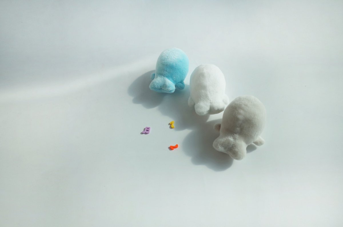 리리피피 tweet media