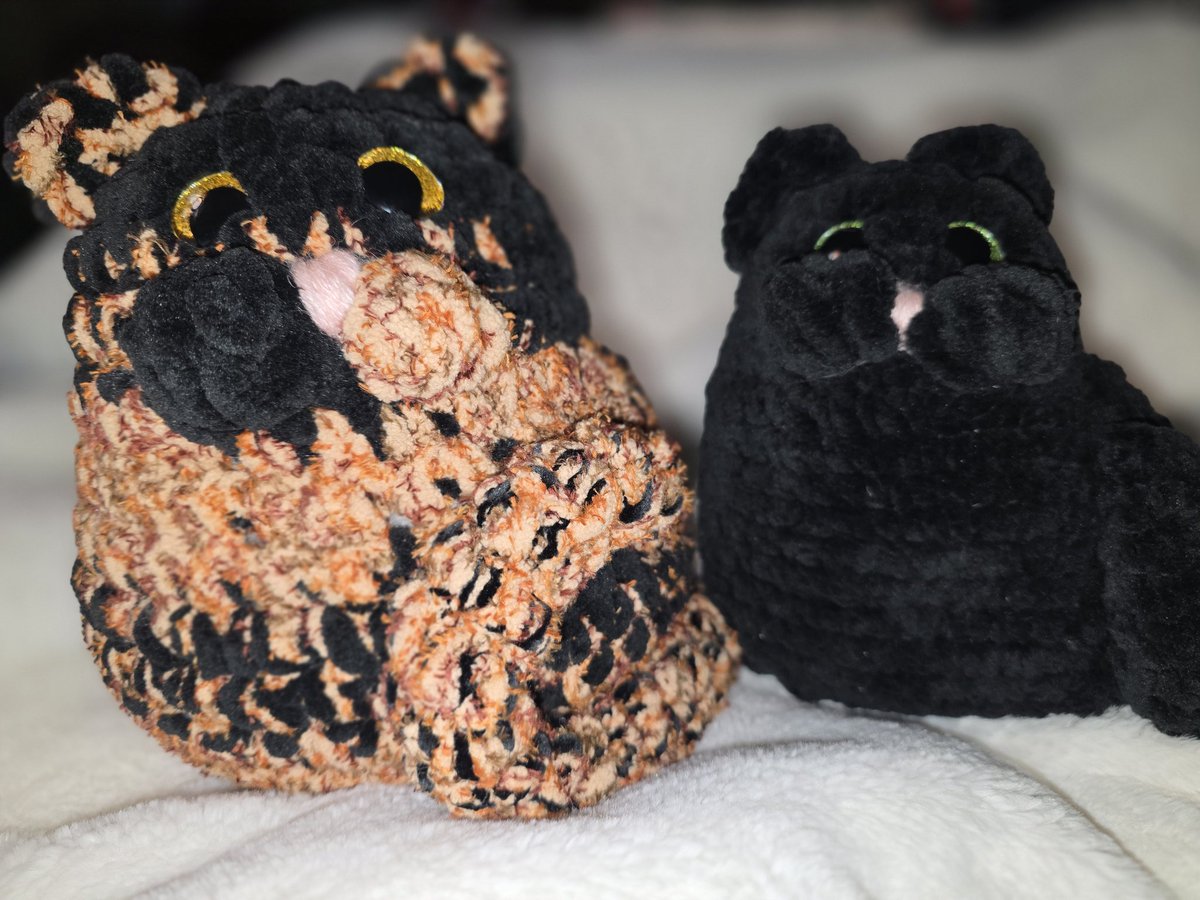 larart10000's tweet photo. #CrochetCat #Amigurumi #Cranks #Artbreak
Finally finished a commission I had.. that tortie was a challenge ☺️🐈⬛🐈 https://t.co/abZHeF2ii1