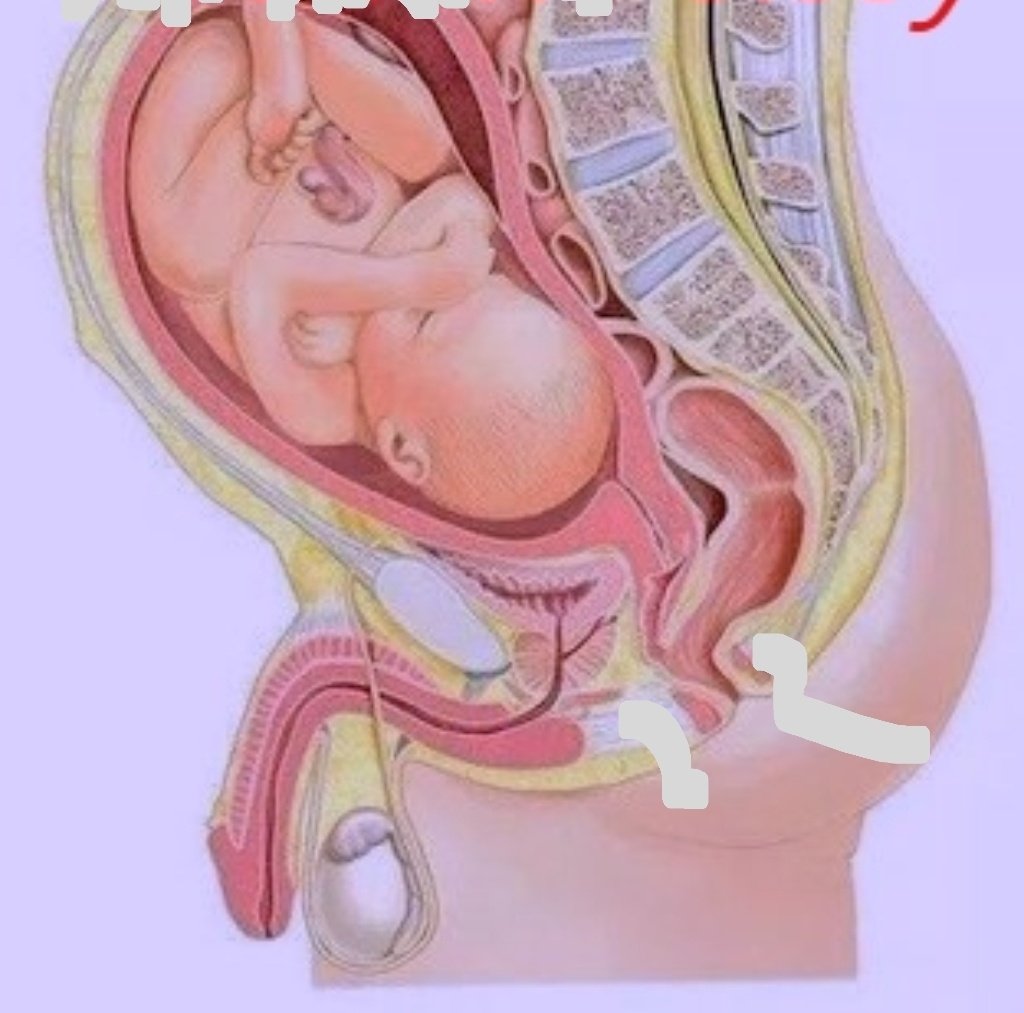 I know what u wish so Reblogue ur dream my sluty slave bitch sissywife