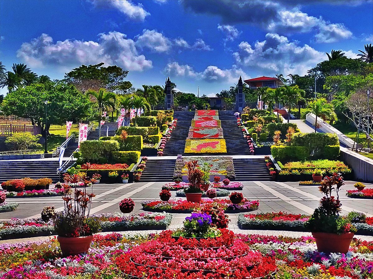 旅先での写真 tweet media