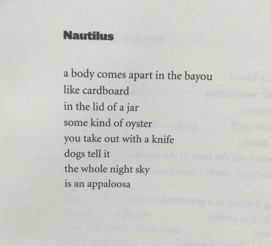 Alina Stefanescu tweet media