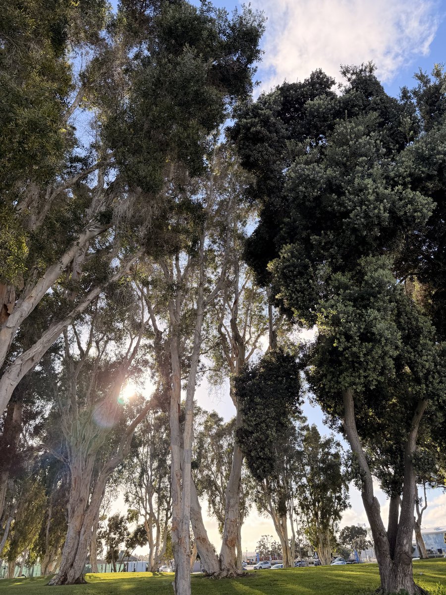 Jason Chow tweet media