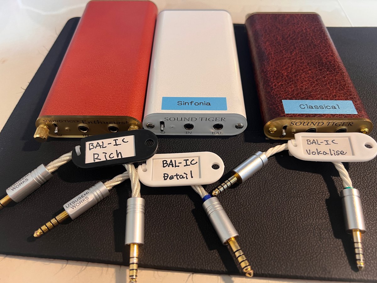 うつせみワークスさんの試聴機をレンタルしました SOUND TIGER