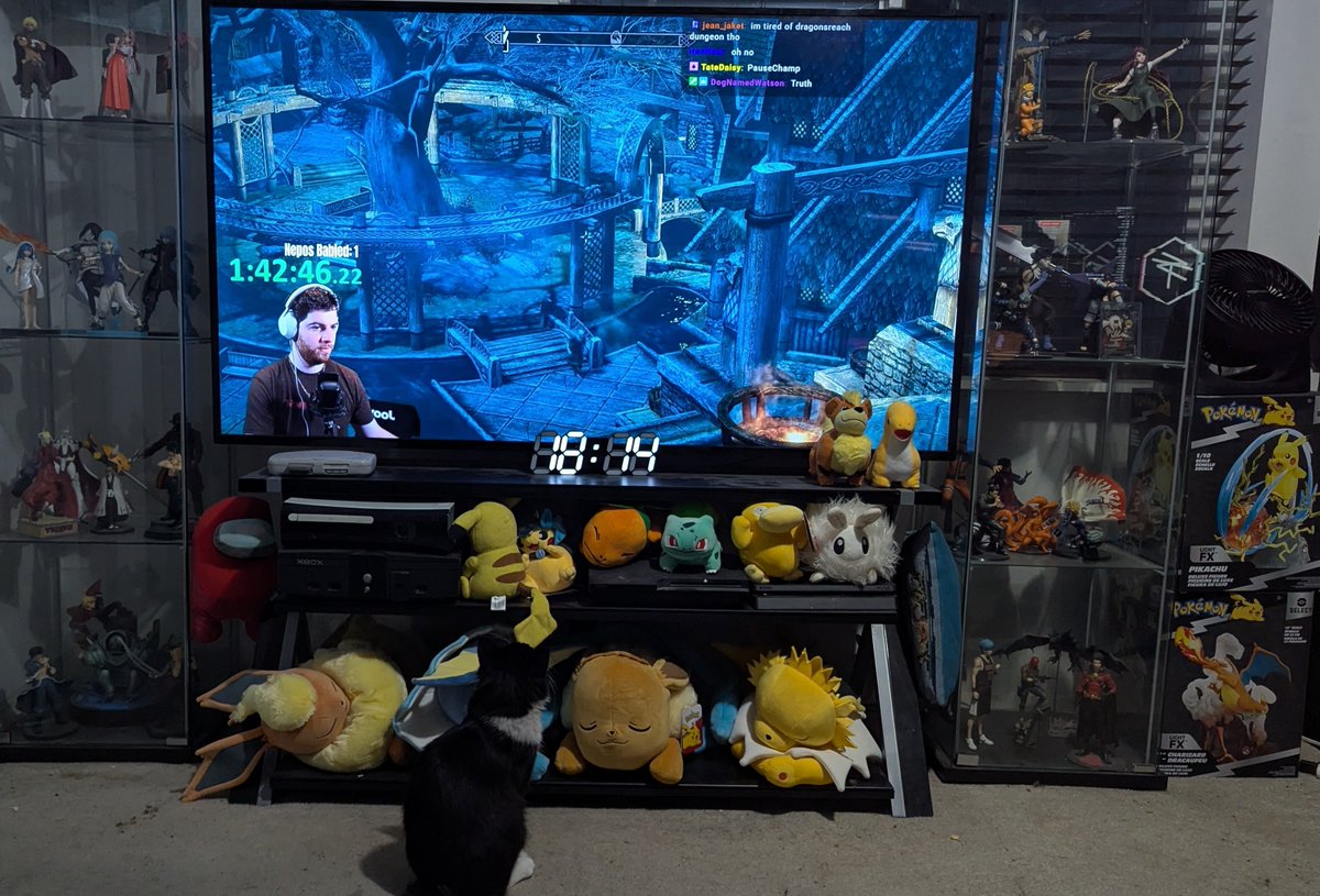 Fae, but also Jordan tweet media