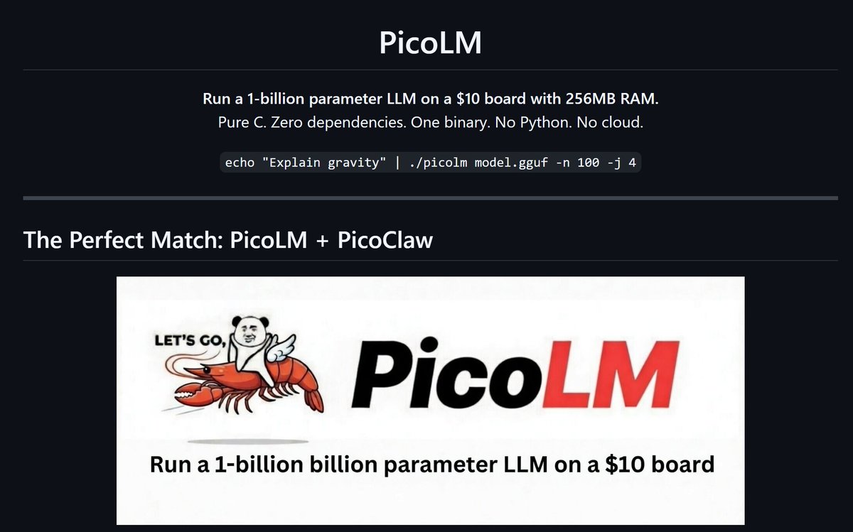 i built a local LLM inference engine that runs a 1B parameter model on a $10 board with 256mb ram. model sits on the sd card, streams one layer at a time through 45mb of ram

You can use it as local LLM model backend for PicoClaw

no python no cloud no api keys
80kb binary | pure