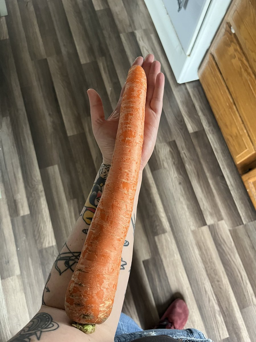 crucialtouch's tweet photo. 🥕 https://t.co/2pzGggR1MJ