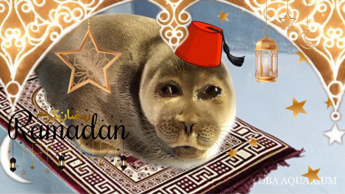 mossyseals's tweet photo. happy ramadan!!! https://t.co/aH1sRNye5C
