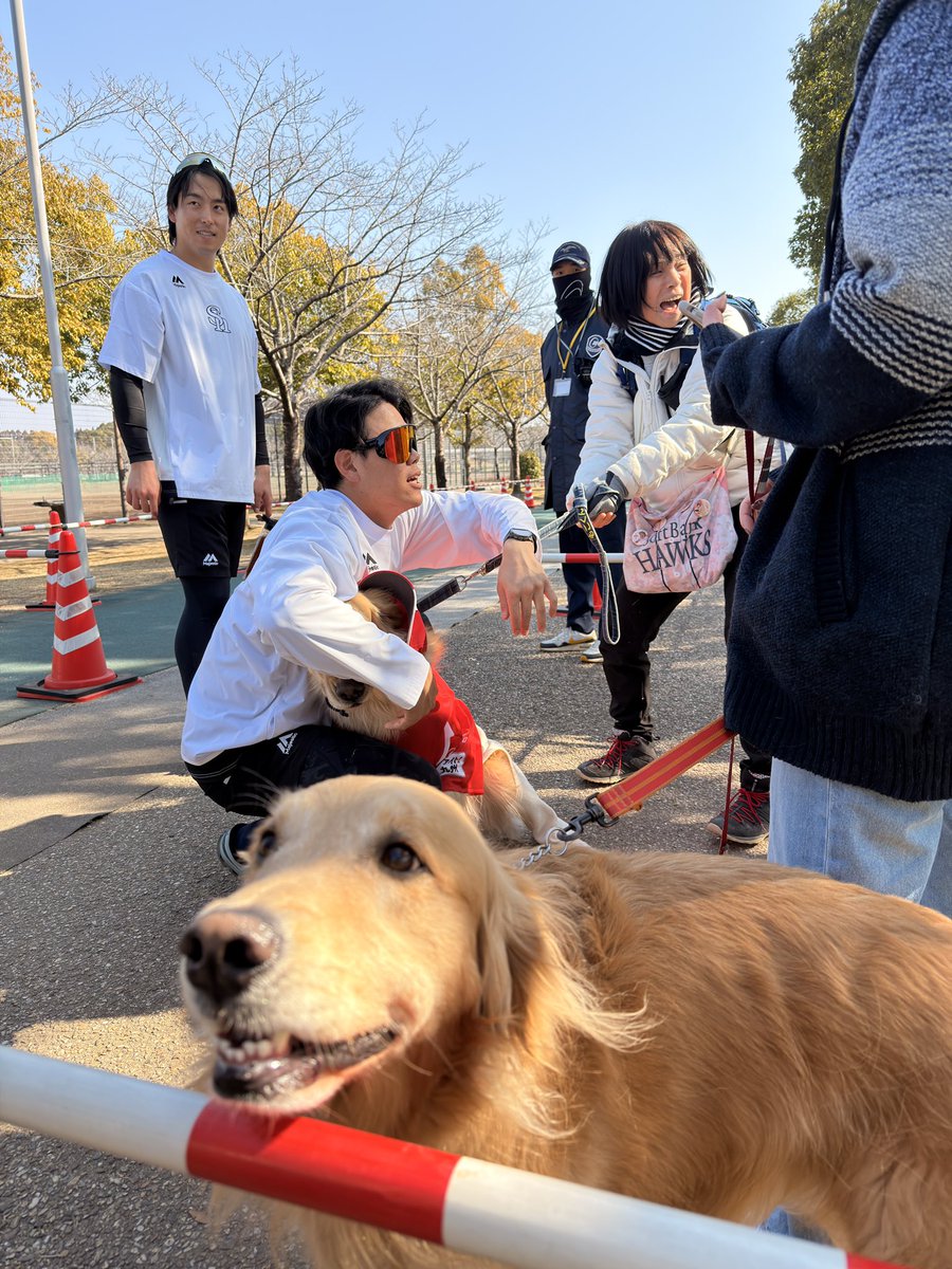 西スポWEB OTTO! タカ番がつぶやくソフトバンクホークス最新情報・裏情報 tweet media