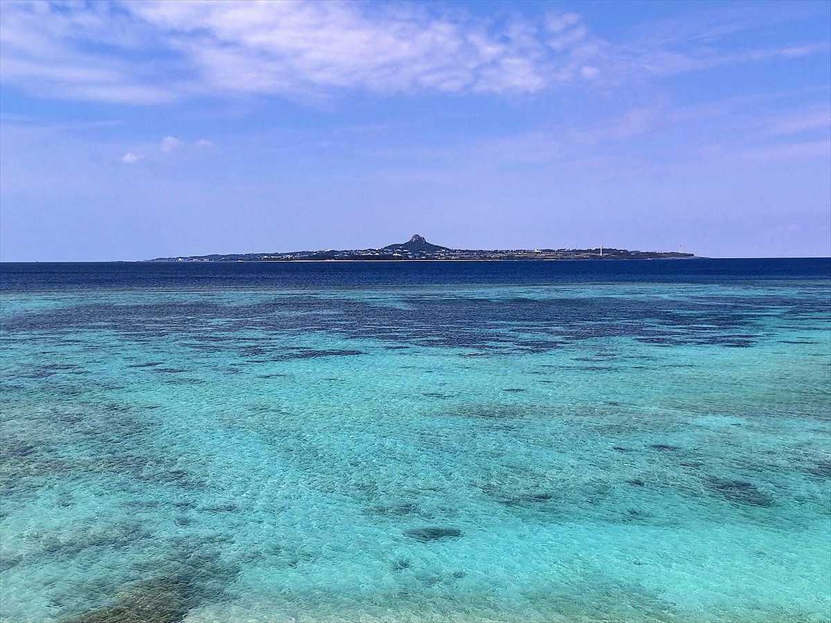 旅先での写真 tweet media