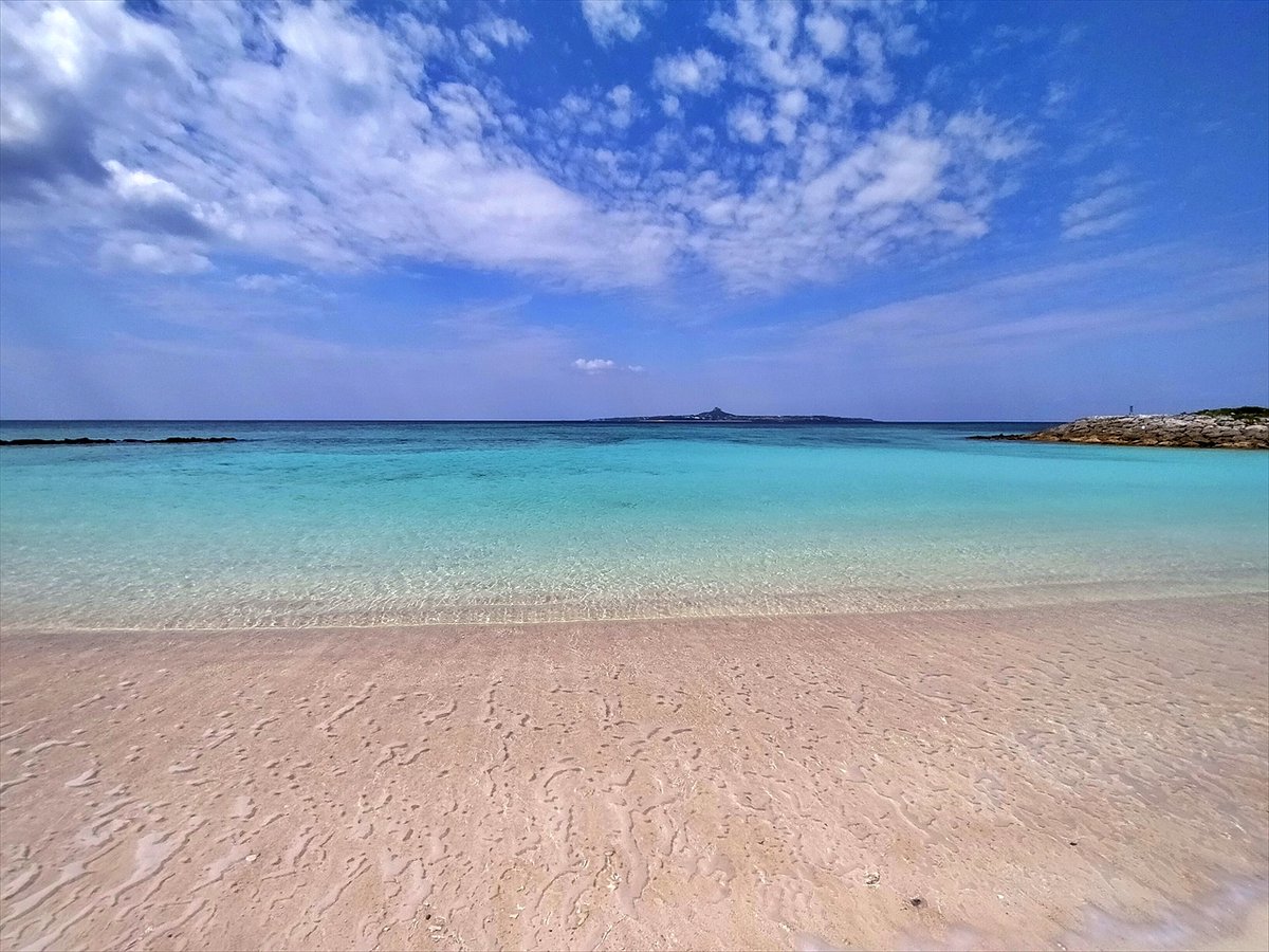 旅先での写真 tweet media