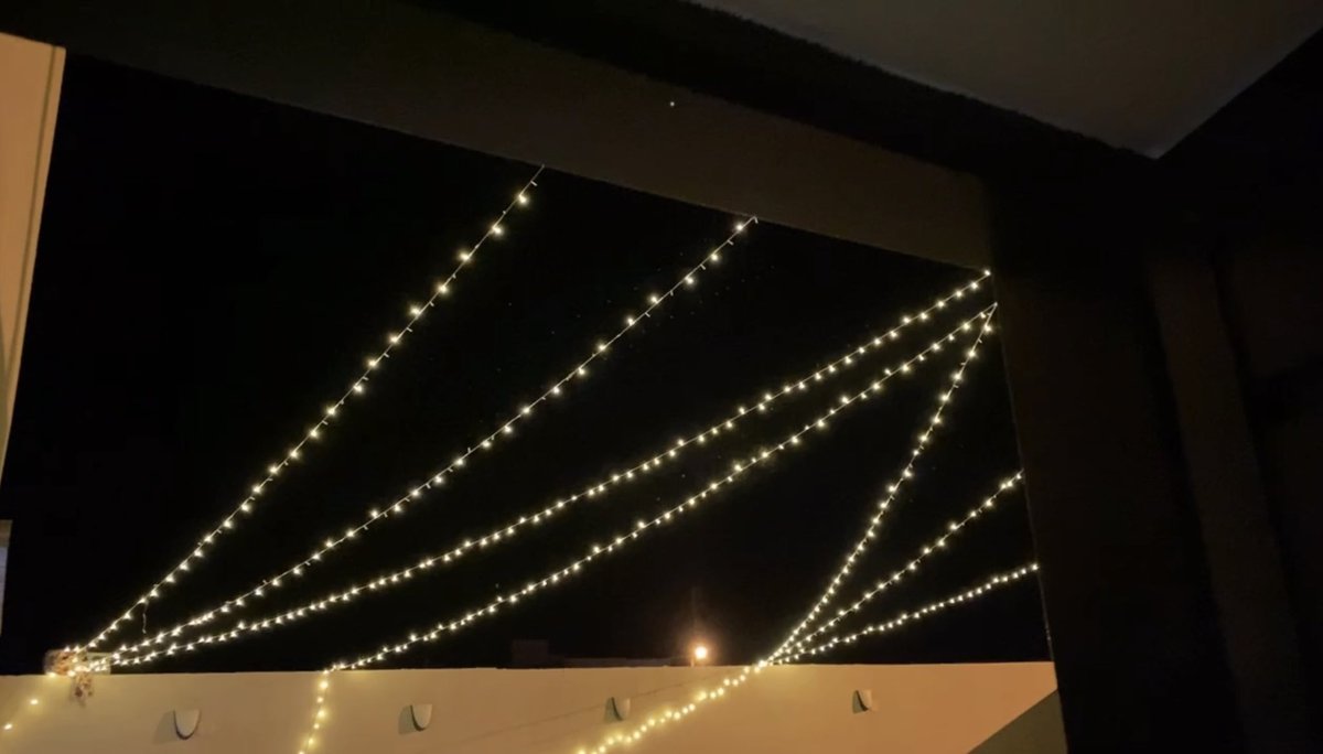 DHAY AL SHALI tweet media