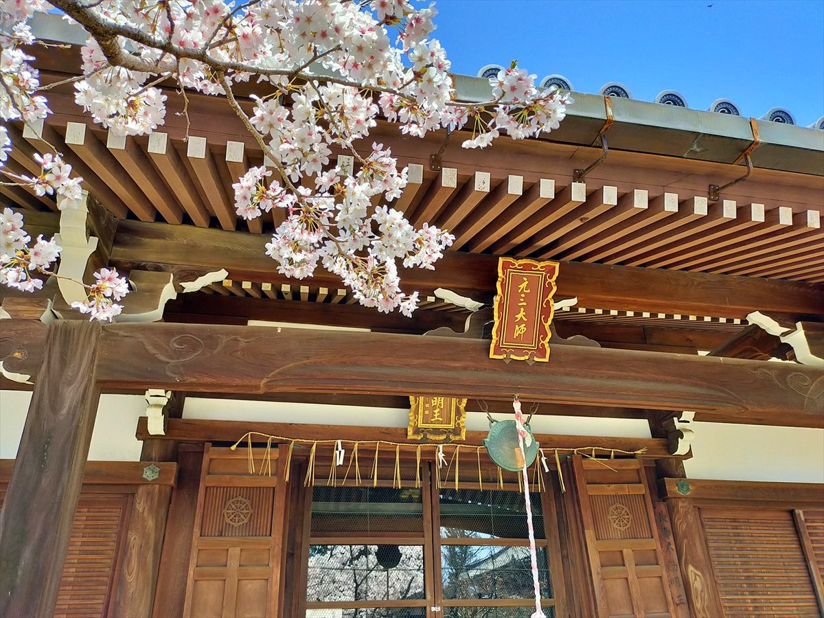 旅先での写真 tweet media