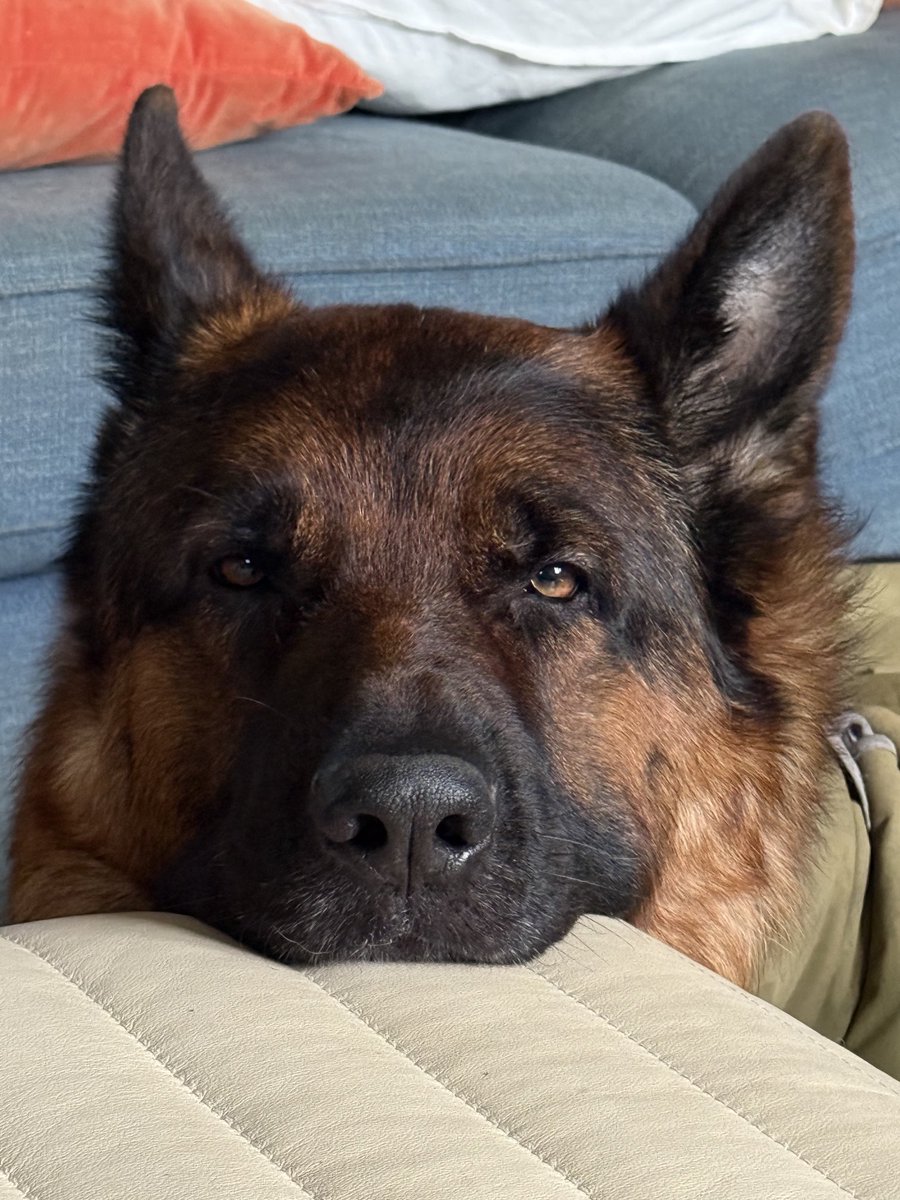 Julio Alberto ©️ tweet media