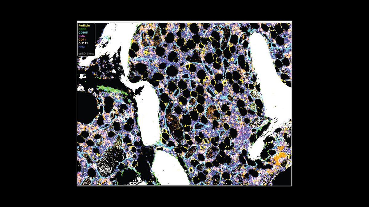 Human BioMolecular Atlas Program (HuBMAP) tweet media
