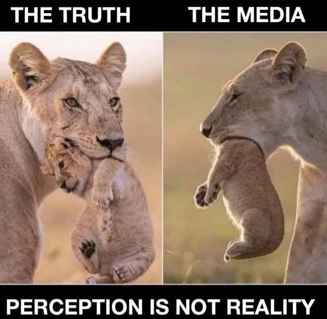 AmericanMemes 47 (@americanme67626) on Twitter photo 