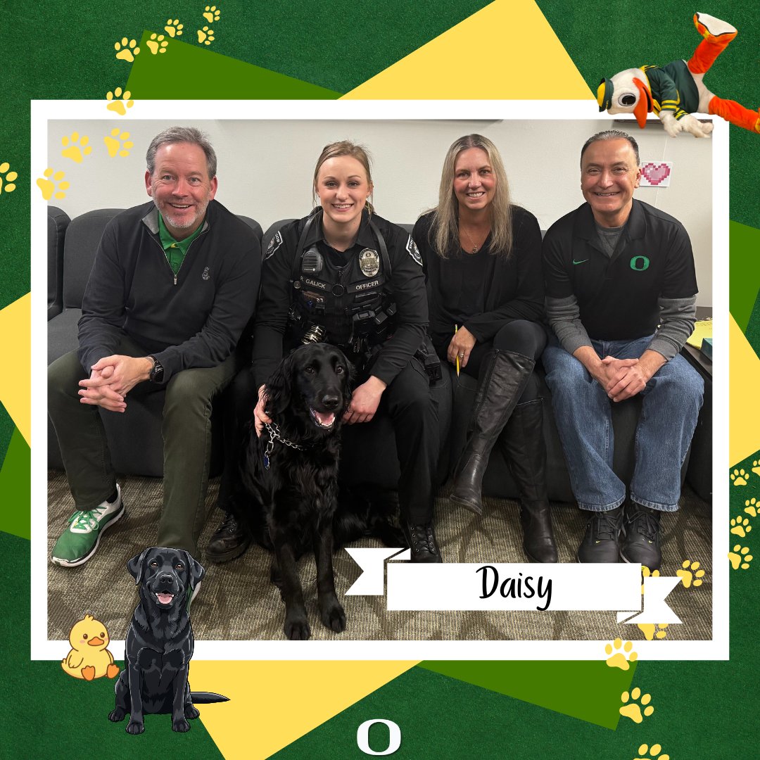 UOregonFinAid's tweet image. 🐕¡Nos sentimos honrados de tener a Daisy, una perrita de consuelo del Departamento de Policía de la UO, como invitada en nuestra oficina durante nuestra reunión de equipo esta mañana! ¡Pudimos aprender más sobre ella y el trabajo que realiza aquí en la UO! #uoregon #OSFAS #daisy
