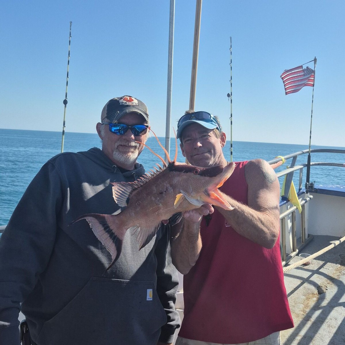 hubbardsmarina's tweet photo. NEARSHORE HOGFISH BITE IN MADEIRA BEACH ๐ฃ
Shorter trip. Great eating fish. Perfect family fishing option.
Our 5hr & 10hr nearshore trips are seeing hogfish action when weather allows.
#Hogfish #NearshoreFishing #MadeiraBeach #FloridaFishing https://t.co/Gqx6R0fnUg
