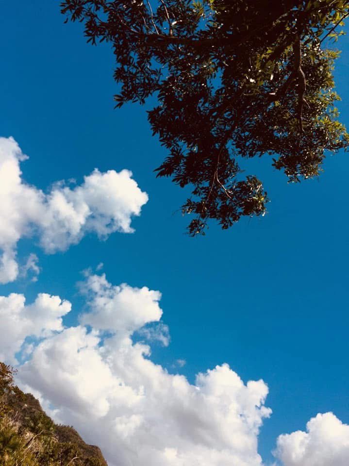 Amando en Libertad 🦋🌸💝 tweet media