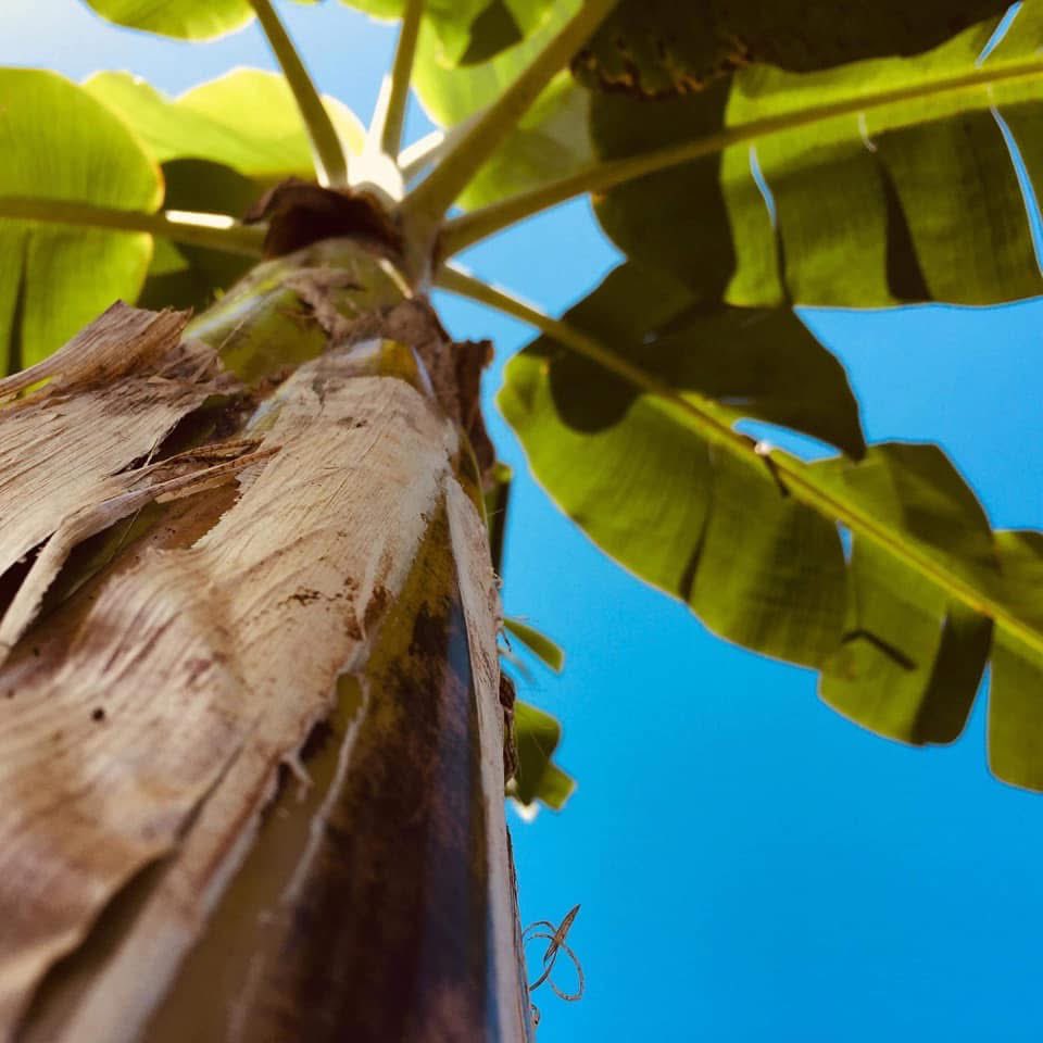 Amando en Libertad 🦋🌸💝 tweet media