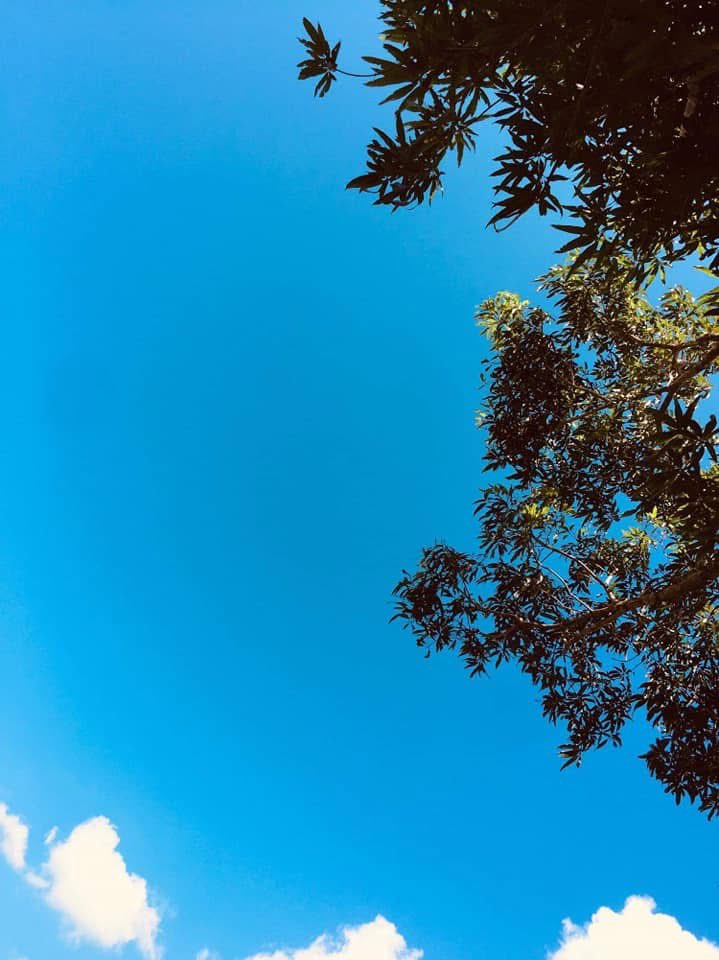 Amando en Libertad 🦋🌸💝 tweet media