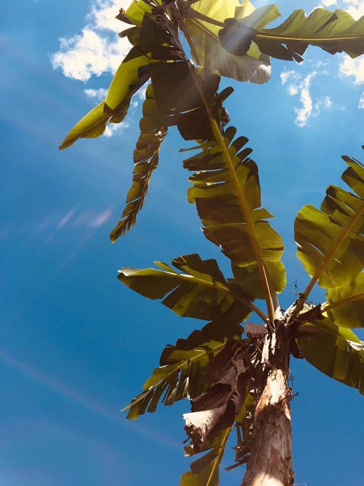 Amando en Libertad 🦋🌸💝 tweet media