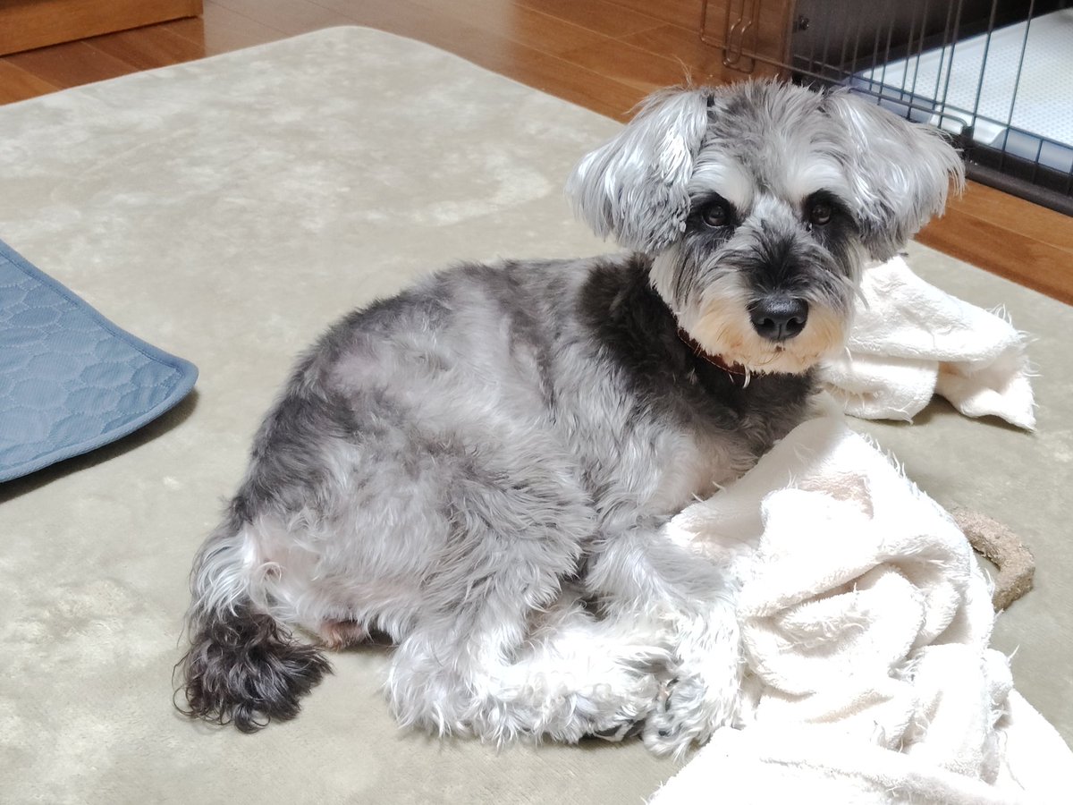 朝から可愛い。