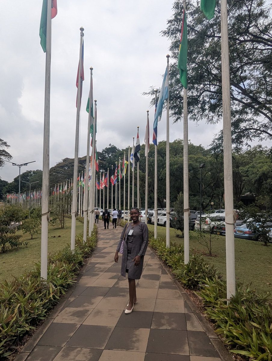 NaaE93230's tweet photo. New week, new goals. 📍 Nairobi.

Representing and collaborating at the Africa &amp; MENA Regional Meeting. It’s time to bridge the gap between youth advocacy and policy. 💼✊

#YouthDemocracyNetwork #UNON #Nairobi @EboudeAngeline https://t.co/fmWkOaZmUi