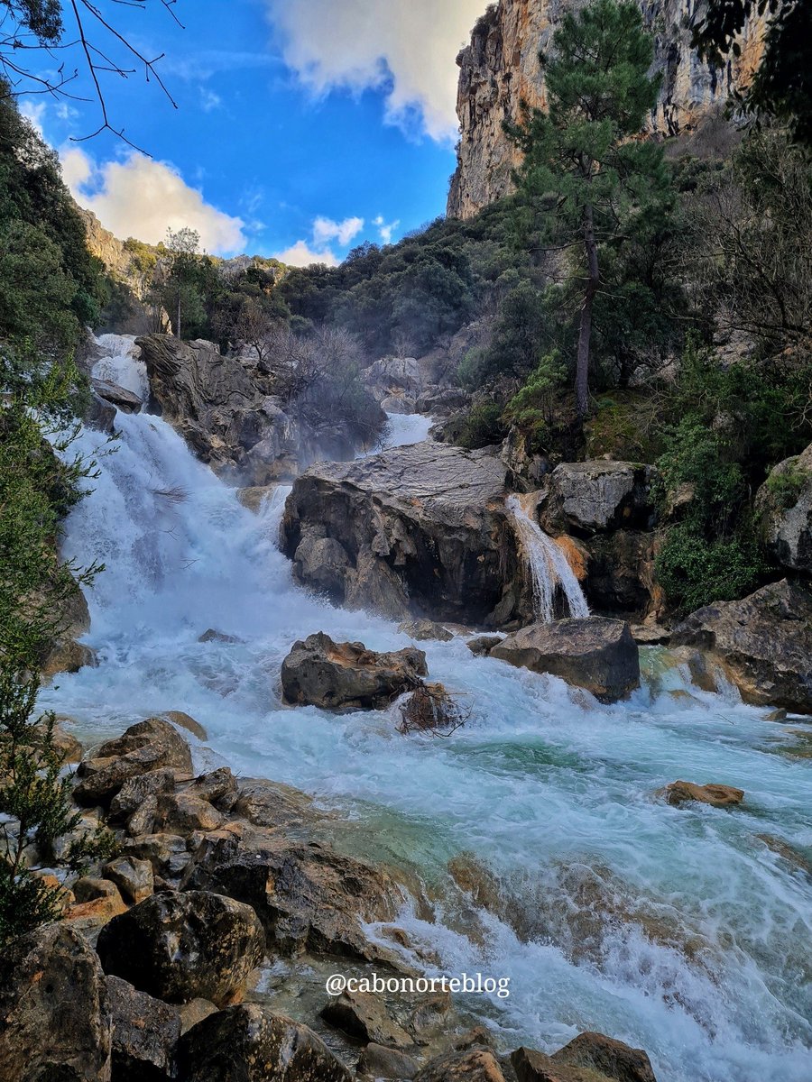 cabonorteblog tweet media