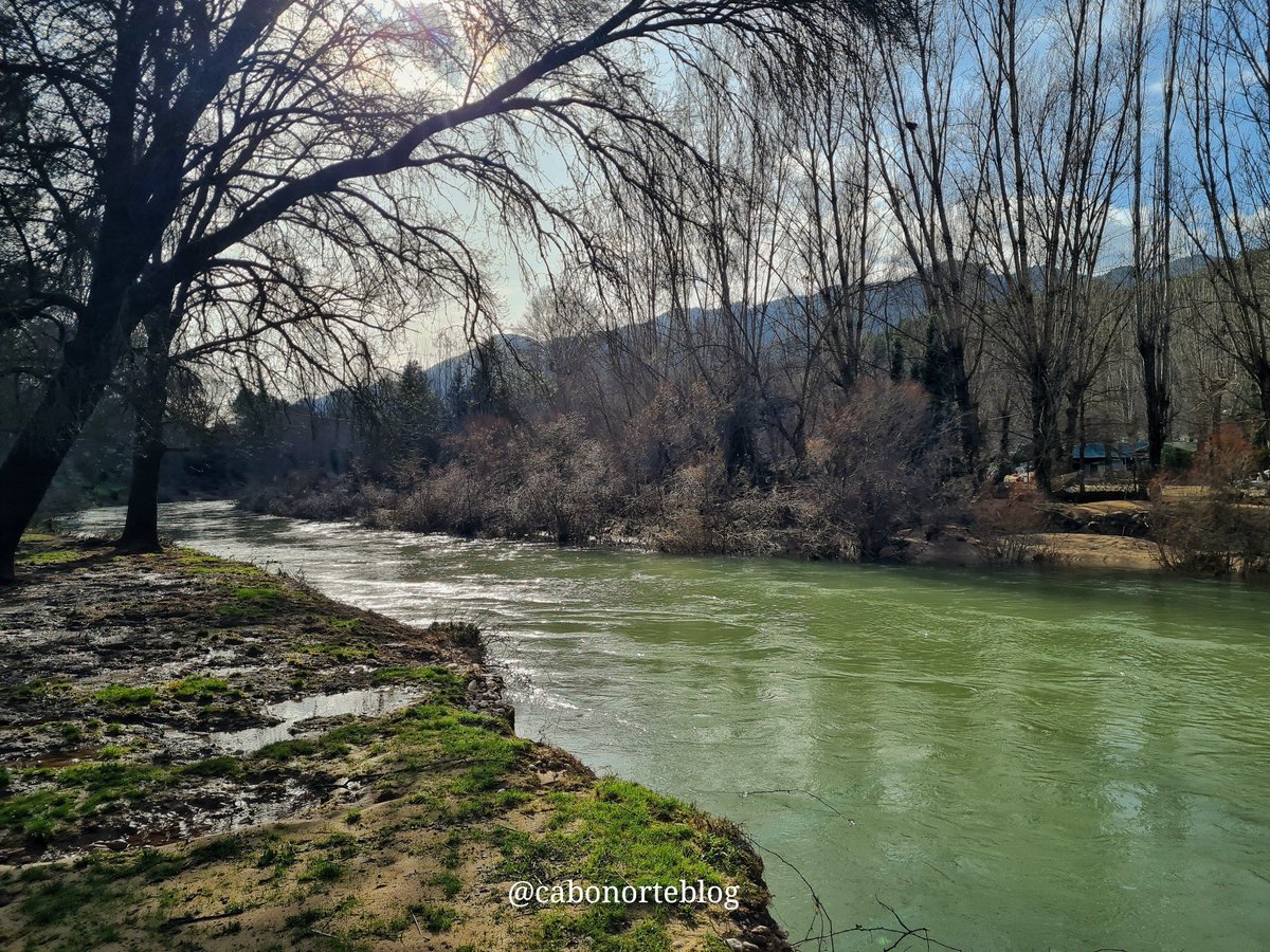 cabonorteblog tweet media