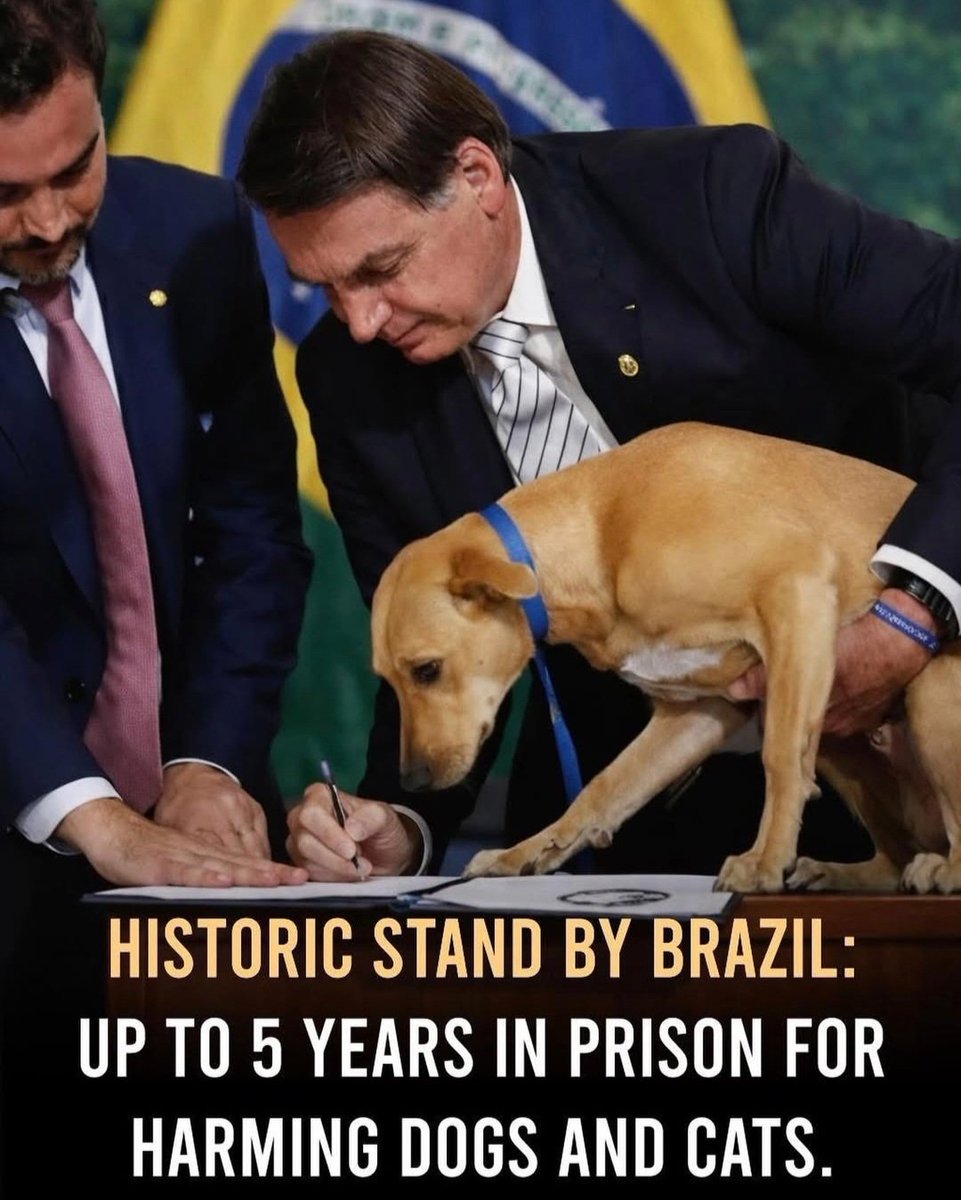 Fully agree 
This should be in all countries that have this law..
Also Boycott countries like  Morocco who are going to be Barbaric in the Cruel Slaughter of thousands of stray dogs..
Pure evil..