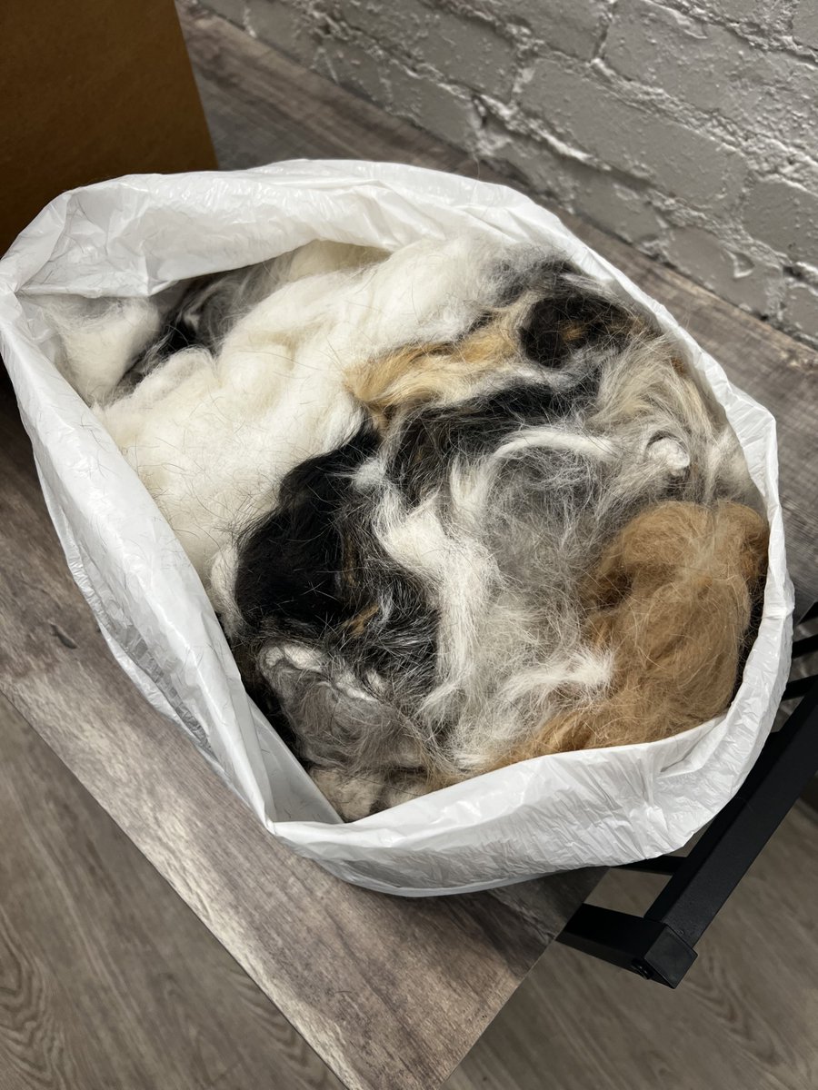 MatterOfTrust's tweet image. Thanks to Jason Hiseris, Richmond, Virginia for the donation of animal fur
to donate follow link matteroftrust.org/donate-hair-fu…
#hair #HairMats #hairmulch #petfur #recycle