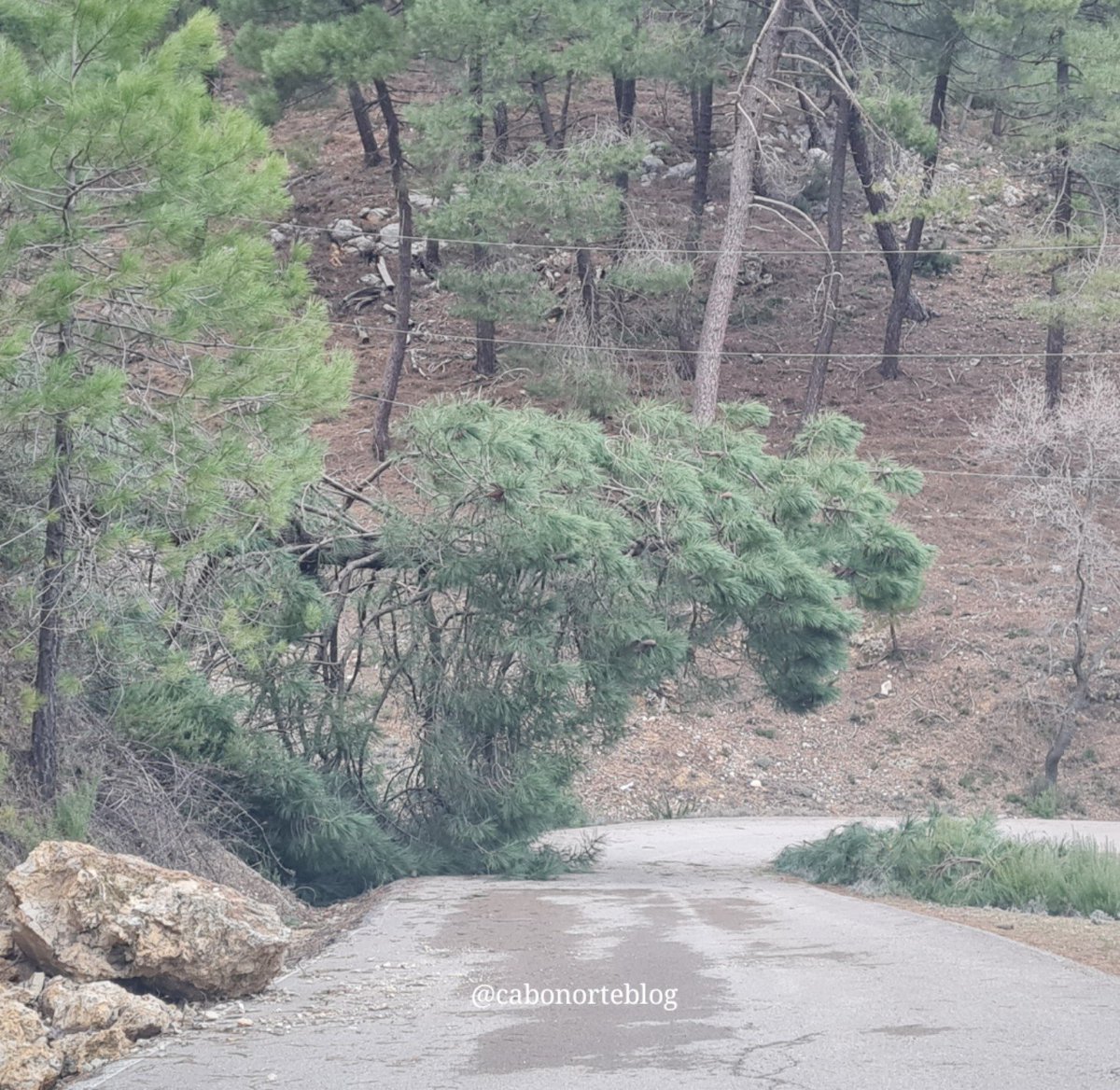 cabonorteblog tweet media