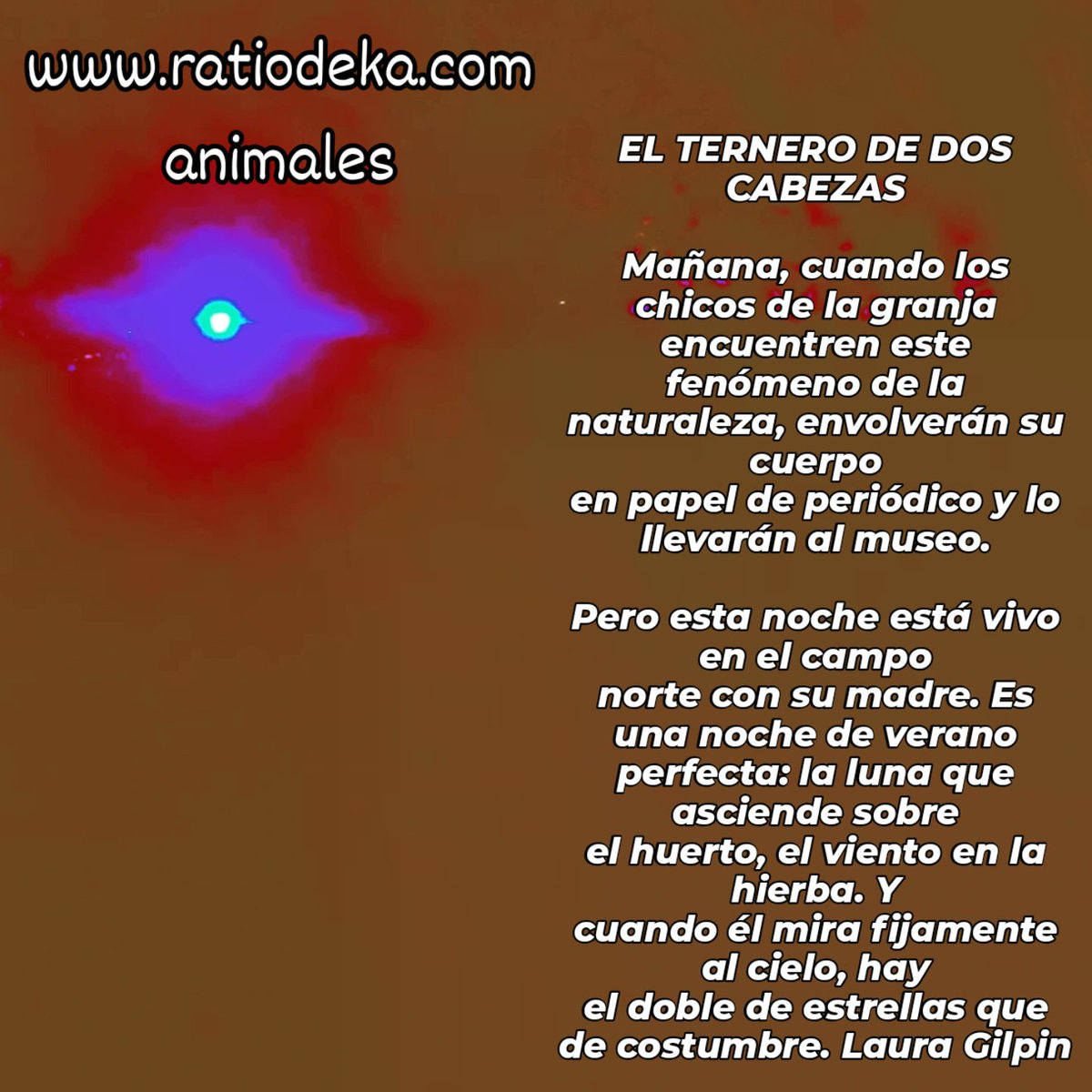 Ratio Deka info@ratiodeka.com (@dekaratio) on Twitter photo 