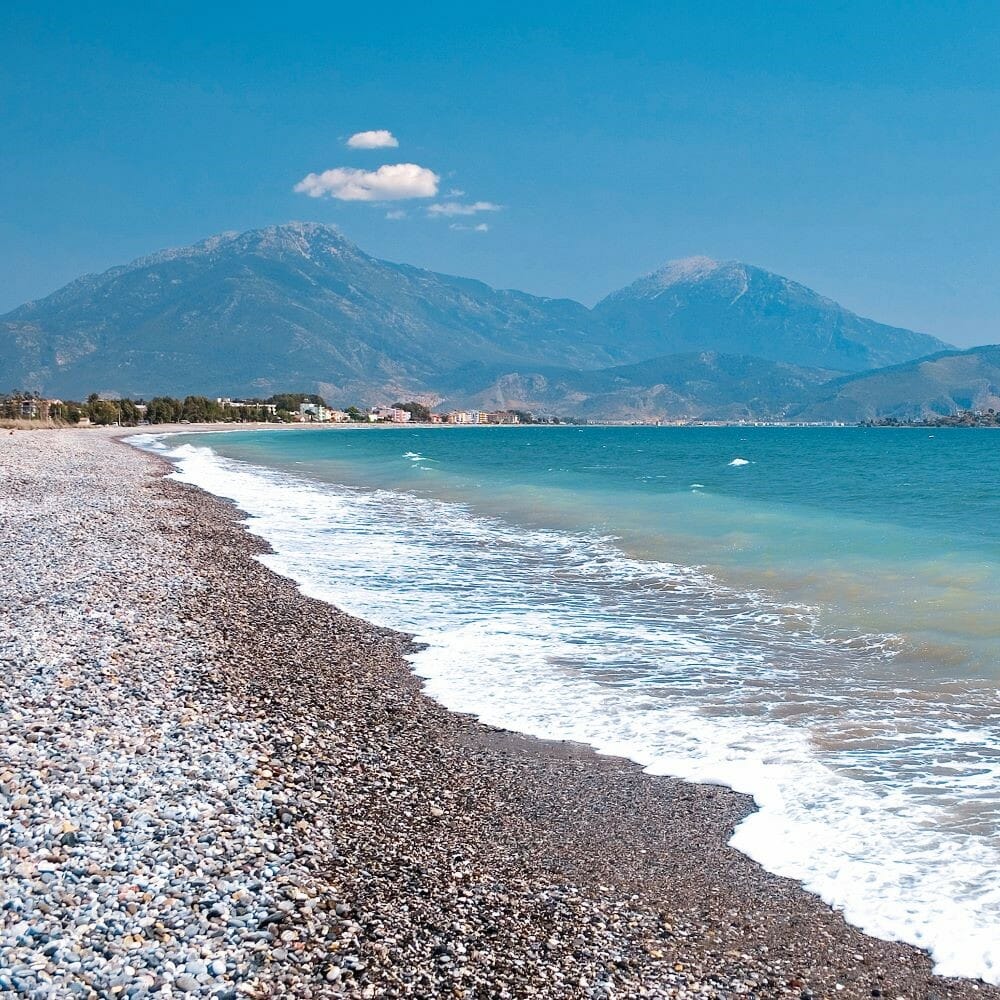 alfansooo tweet media