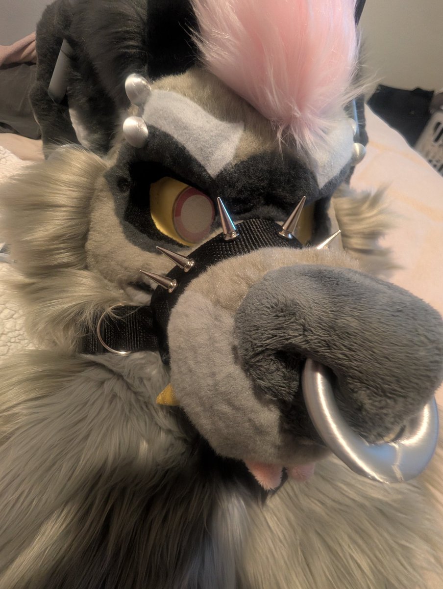 𖤐 Havoc ⁶⁶⁶ tweet media