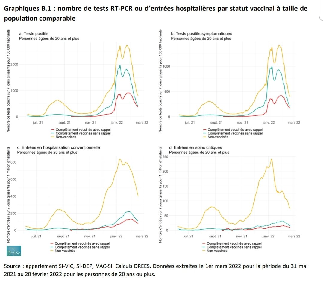 Le cul les ronces #StopDésinformation tweet media
